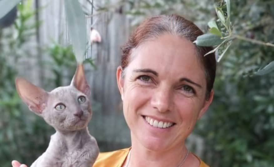 Fons Outre-Gardon | Des chats mutants à la Chatterie de Mochicha